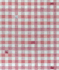 Gastón y Daniela Trajano Rosa Fabric