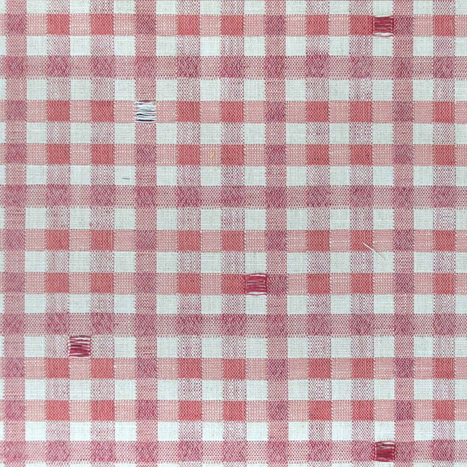 Gast&#243;n y Daniela Trajano Rosa Fabric