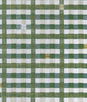Gastón y Daniela Trajano Verde Hoja Fabric