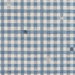 Gastón y Daniela Trajano Azul Claro Fabric