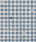 Gastón y Daniela Trajano Azul Claro Fabric