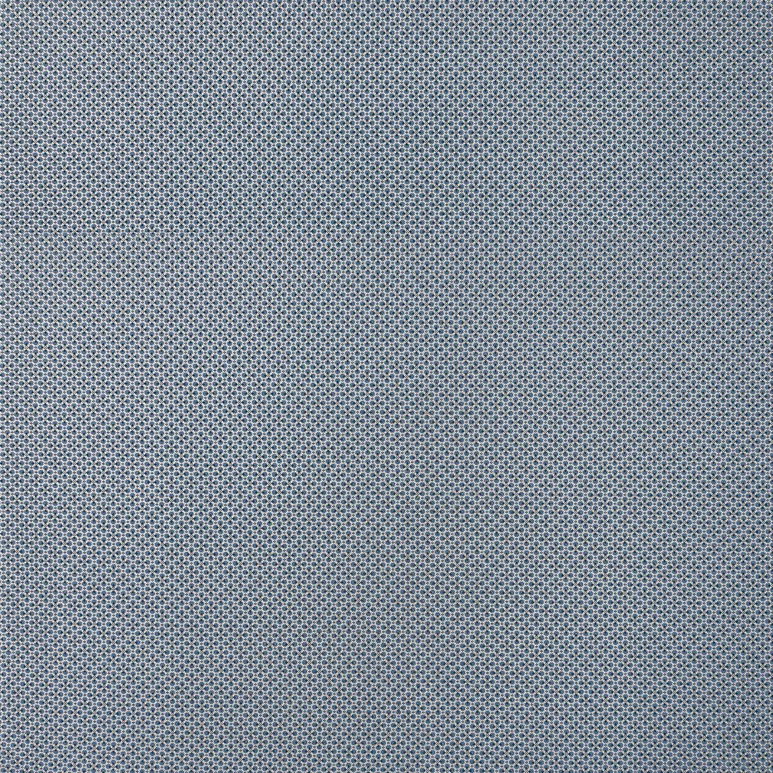 Gastón y Daniela Prodigiosa Azul Fabric