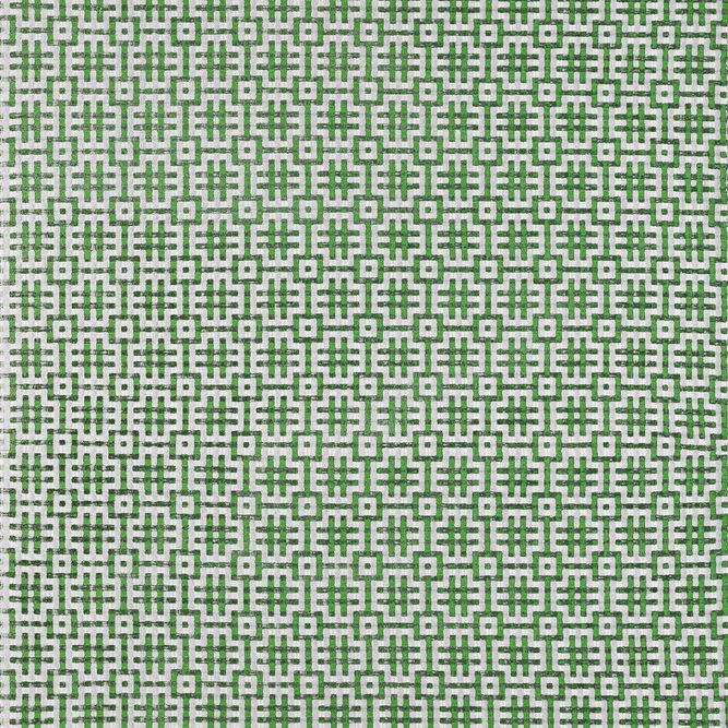Gast&#243;n y Daniela Fortuna Verde Fabric