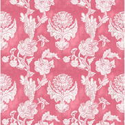 Gaston y Daniela Chitina Rosa Fabric