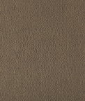 Kravet Lenox Elephant Fabric