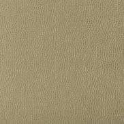 Kravet Lenox Elm Fabric