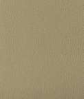 Kravet Lenox Elm Fabric