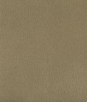 Kravet Lenox Bayleaf Fabric