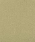 Kravet Lenox Sage Fabric