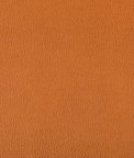 Kravet Lenox Marmalade Fabric