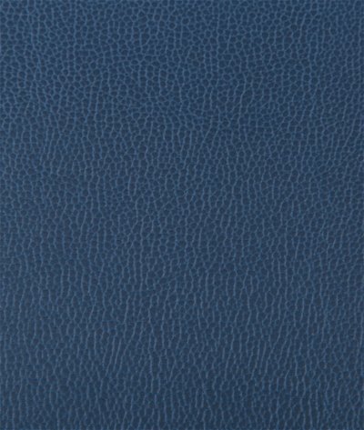Kravet Lenox Blueberry Fabric
