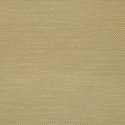 Kravet LINKUP.GINGER Thornley Gold Fabric