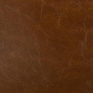 Kravet LIPIZZAN.6 Fabric