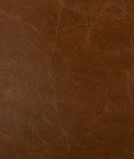 Kravet LIPIZZAN.6 Fabric