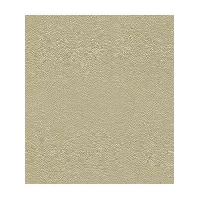 Kravet LITESTAR.116 Litestar Sand Fabric