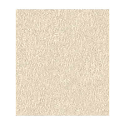 Kravet LITESTAR.1 Fabric