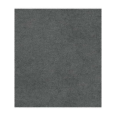 Kravet LITESTAR.21 Litestar Iron Fabric