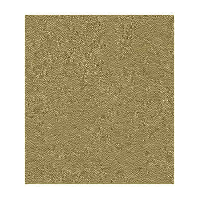 Kravet LITESTAR.4 Litestar Gold Fabric