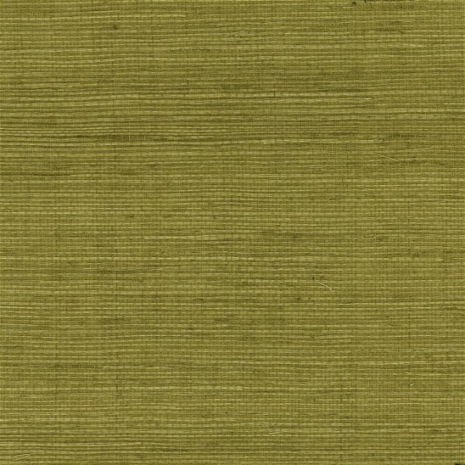 Lillian August Sisal Grasscloth Olive Wallpaper
