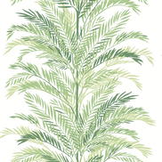 Lillian August Peel & Stick Keana Palm Paradise Green Wallpaper