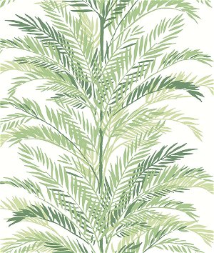 Lillian August Peel & Stick Keana Palm Paradise Green Wallpaper