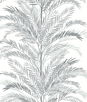 Lillian August Peel & Stick Keana Palm Harbor Mist Wallpaper