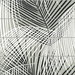 Lillian August Peel & Stick Palm Tile Ebony & Fieldstone Wallpaper