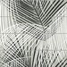 Lillian August Peel &amp; Stick Palm Tile Ebony &amp; Fieldstone Wallpaper thumbnail image 1 of 4