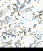 Lillian August Sparrow Haven Breezy Blue Wallpaper