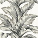 Lillian August Banana Springs Greystone Wallpaper