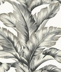 Lillian August Banana Springs Greystone Wallpaper