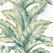 Lillian August Banana Springs Rivercrest Wallpaper