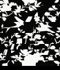 Lillian August Kauai Bird Toile Inkwell Wallpaper