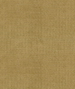 ABBEYSHEA Vezina 509 Marigold