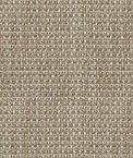 ABBEYSHEA Shaffer 608 Old Lace Fabric