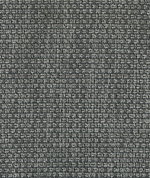 ABBEYSHEA Shaffer 9006 Graphite