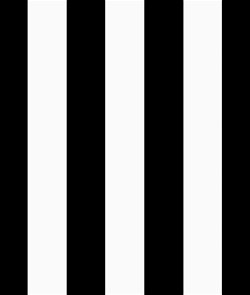 Black/White Medium Stripe Matte Satin