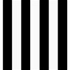 Black/White Medium Stripe Matte Satin Fabric - Image 1