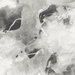 Seabrook Designs Notch Trowel Abstract Grayscale Wallpaper