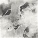 Seabrook Designs Notch Trowel Abstract Grayscale Wallpaper thumbnail image 1 of 2
