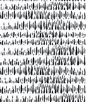 Seabrook Designs Brush Marks Black & White Wallpaper