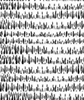 Seabrook Designs Brush Marks Black & White Fabric