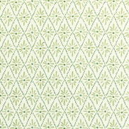 Kravet Malina Grass Fabric