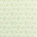 Kravet Malina Grass Fabric