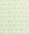 Kravet Malina Grass Fabric