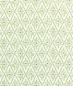 Kravet Malina Grass Fabric