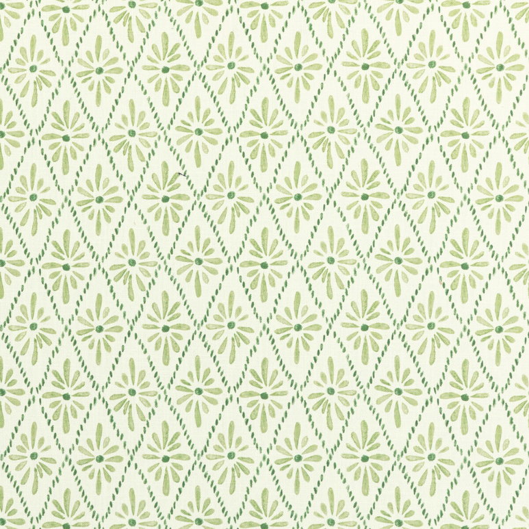 Kravet Malina Grass Fabric