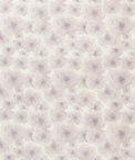 Kravet Manders Aster Fabric