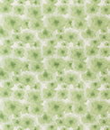 Kravet Manders Jade Fabric