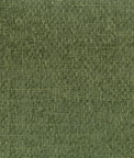 ABBEYSHEA Sensation 22 Fern Fabric